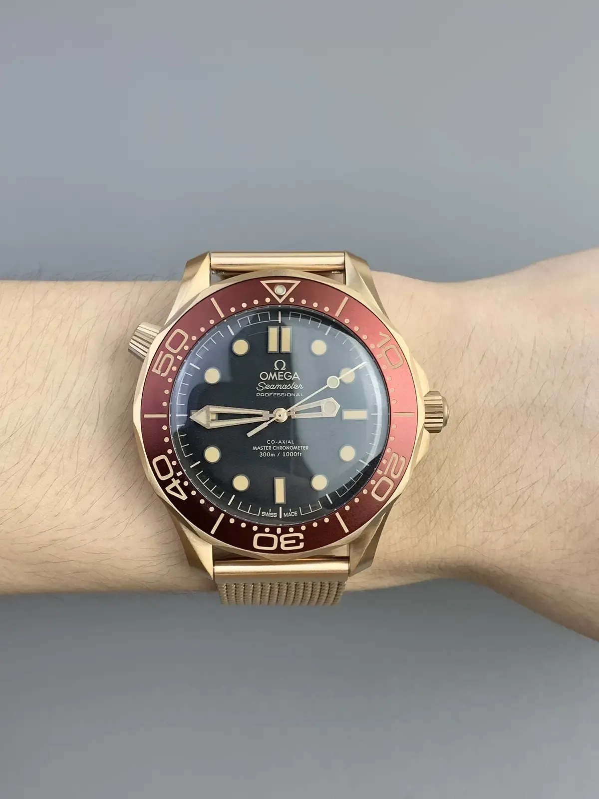 VS厂欧米茄海马300勃艮第红圈入手建议：青铜金表壳+8806机芯