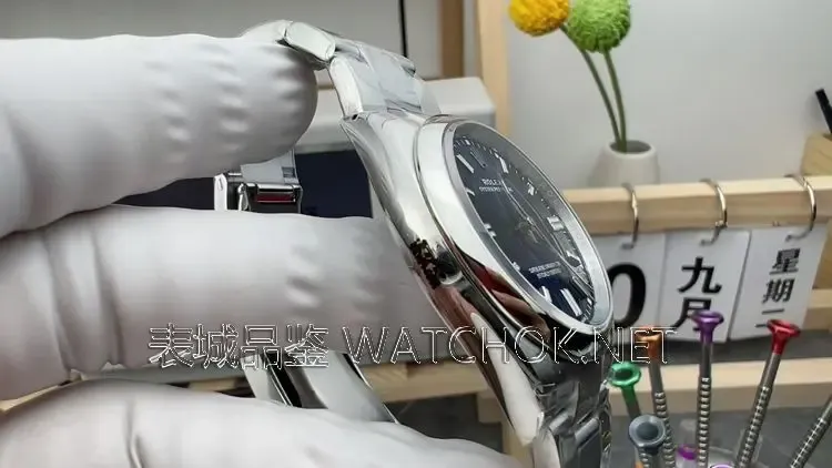 VS厂蚝式恒动莫兰迪色实拍，指针、夜光、编码全解析