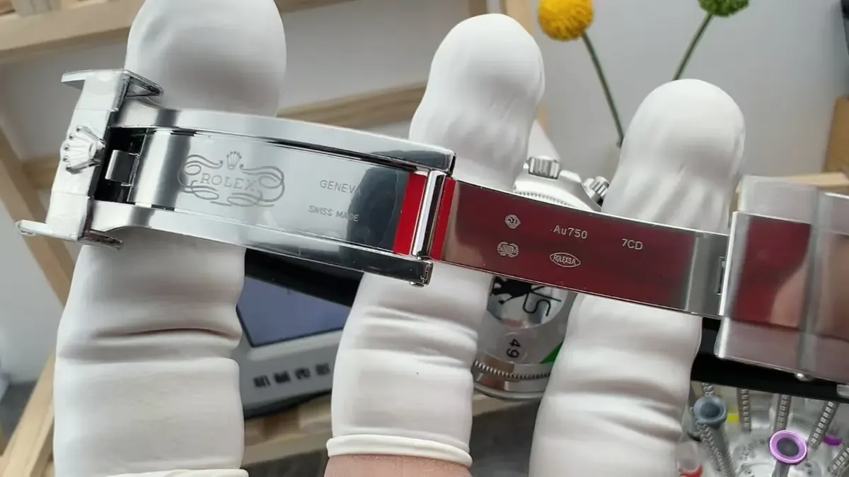 VS厂灰熊迪通拿正确使用方法：做到这4点轻松戴10年