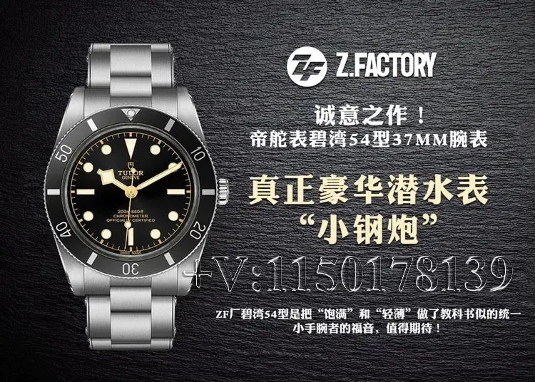 ZF厂帝舵碧湾54系列M79000N是最高版本吗？（新手必看）